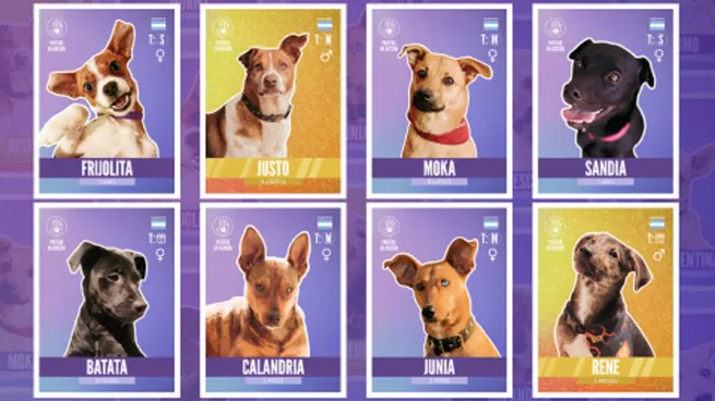 Cover de Ámbito