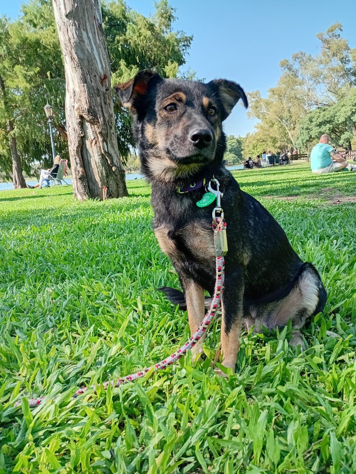 Savannah