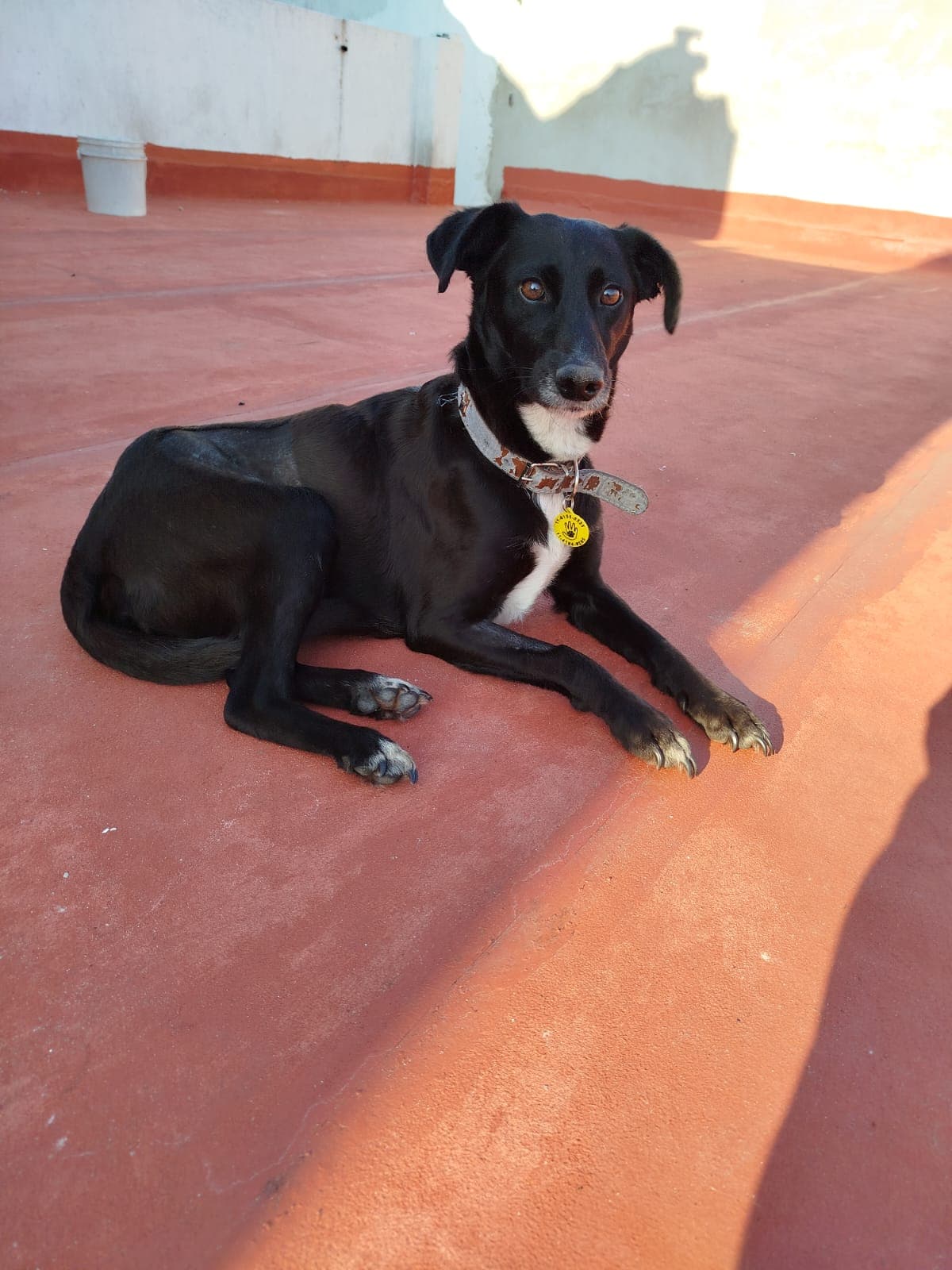 Skye