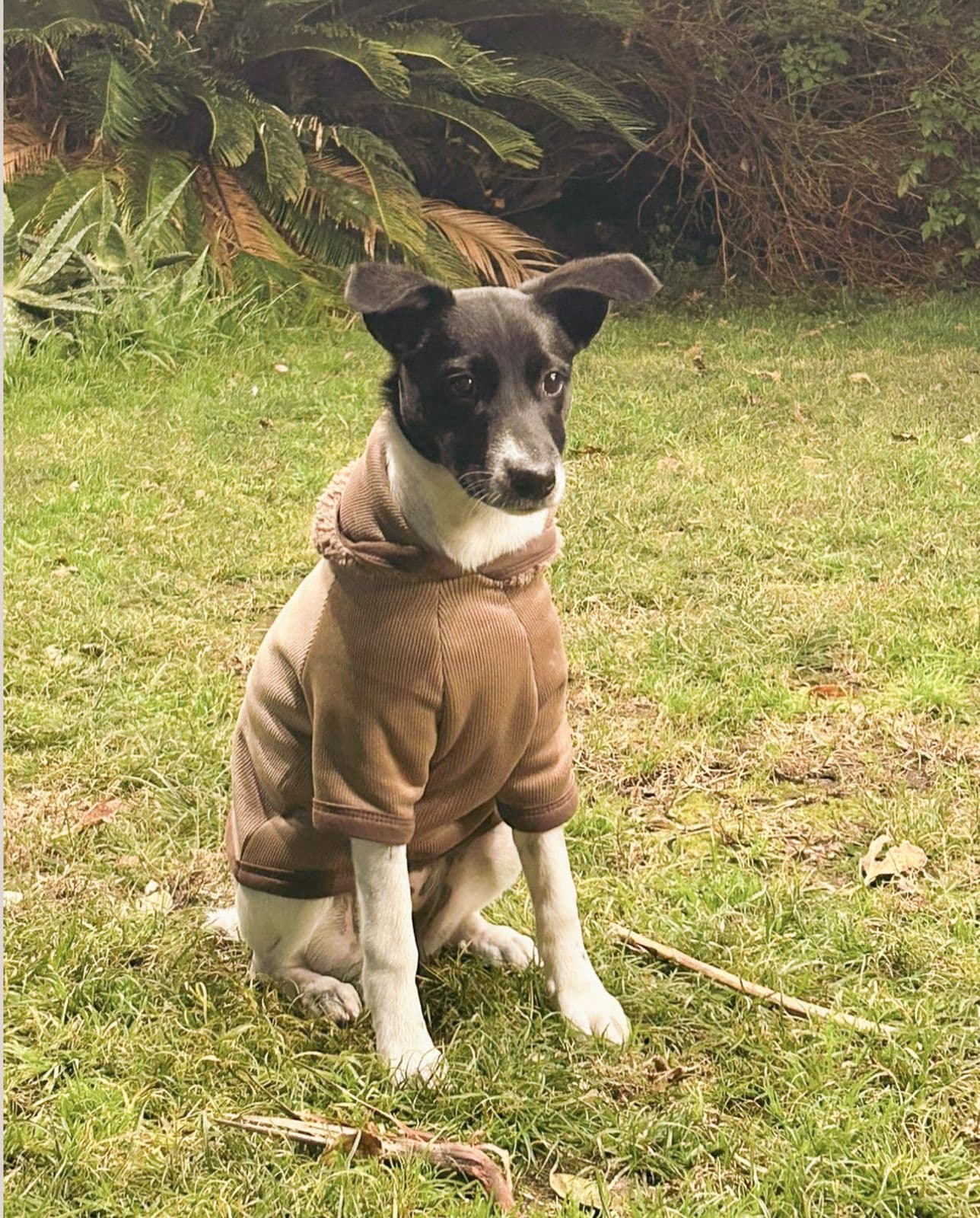 Ropita a elección (cualquiera de la página) + más snacks saludables