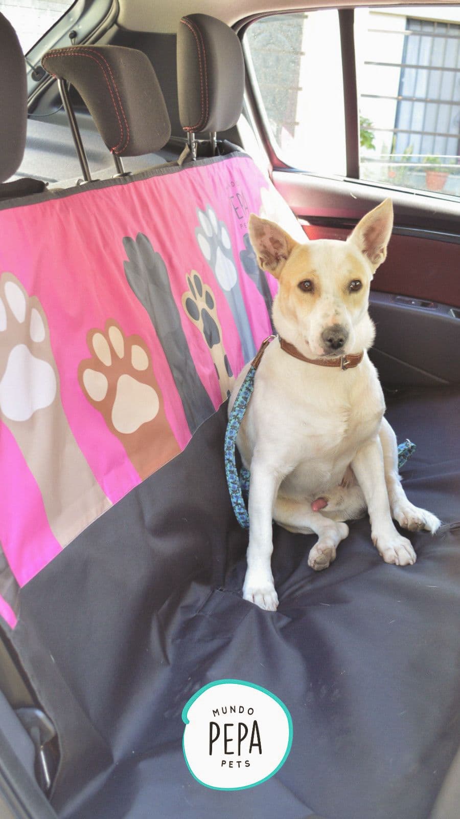 Funda para auto/camionetas universal. Es impermeable y antidesgarro