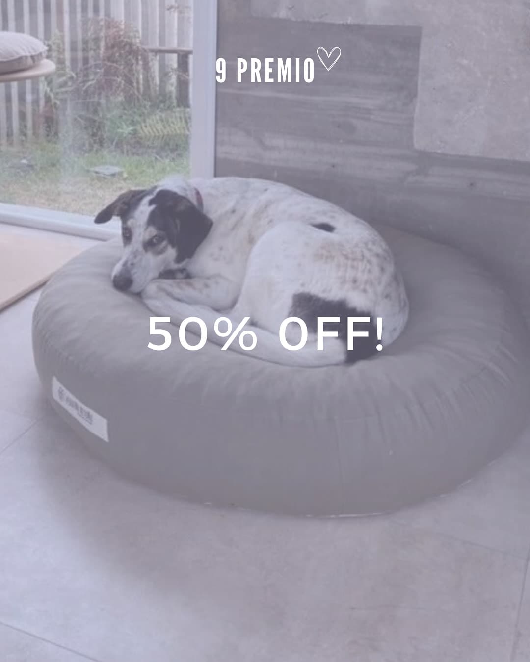 Cupón por 50% off en camitas y colchones