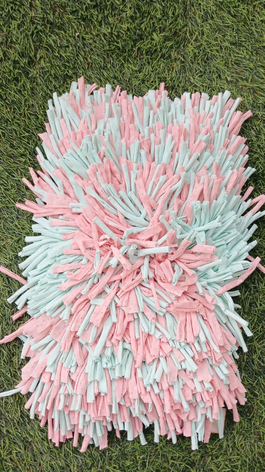 1 alfombra de olfato de 30x20 cm